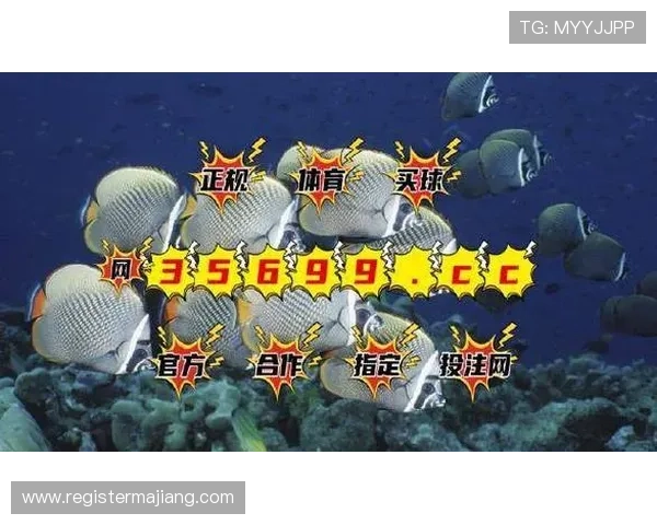 BG视讯在不同平台的安全保障措施和技术支持情况，保障玩家资金与信息安全的详细评测